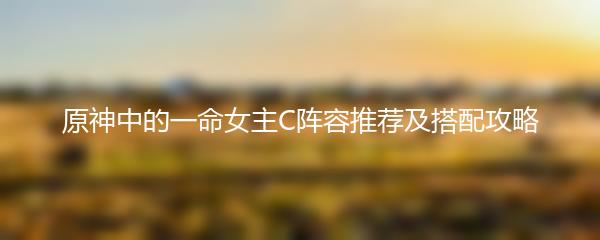 原神中的一命女主C阵容推荐及搭配攻略