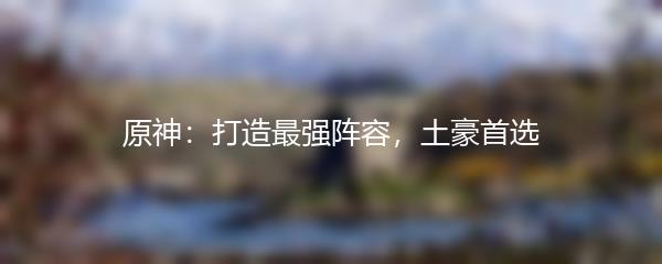 原神：打造最强阵容，土豪首选