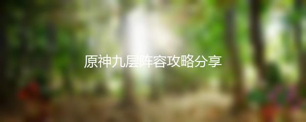 原神九层阵容攻略分享