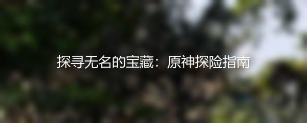 探寻无名的宝藏：原神探险指南