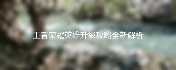 王者荣耀英雄升级攻略全新解析
