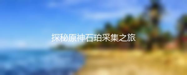 探秘原神石珀采集之旅