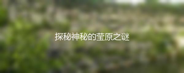 探秘神秘的莹原之谜