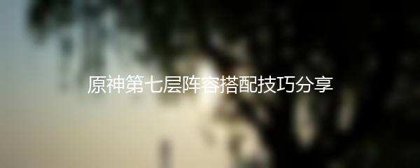 原神第七层阵容搭配技巧分享