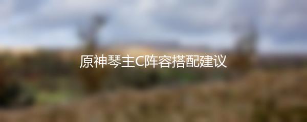 原神琴主C阵容搭配建议