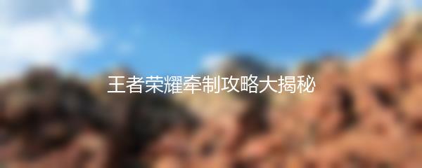 王者荣耀牵制攻略大揭秘