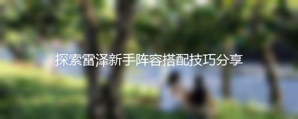 探索雷泽新手阵容搭配技巧分享