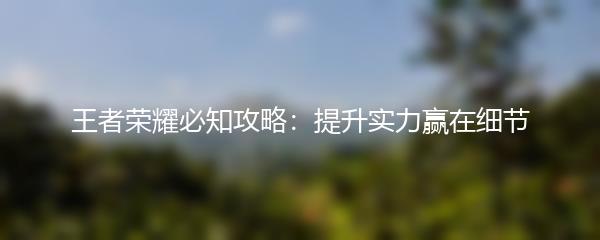 王者荣耀必知攻略：提升实力赢在细节