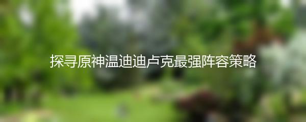 探寻原神温迪迪卢克最强阵容策略