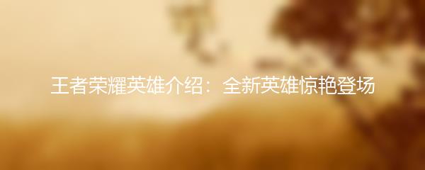 王者荣耀英雄介绍：全新英雄惊艳登场