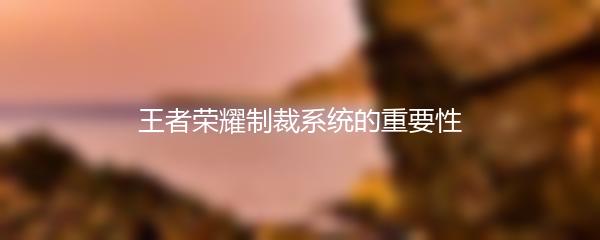 王者荣耀制裁系统的重要性