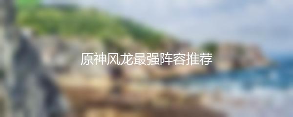 原神风龙最强阵容推荐