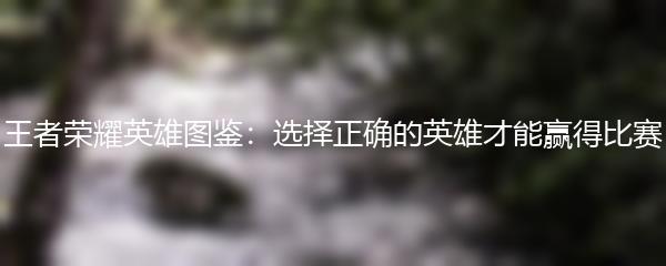 王者荣耀英雄图鉴：选择正确的英雄才能赢得比赛