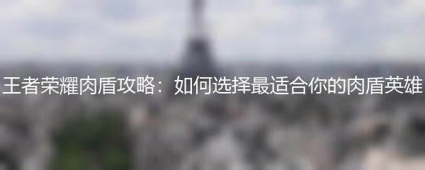 王者荣耀肉盾攻略：如何选择最适合你的肉盾英雄