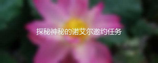 探秘神秘的诺艾尔邀约任务