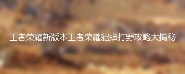 王者荣耀新版本王者荣耀貂蝉打野攻略大揭秘