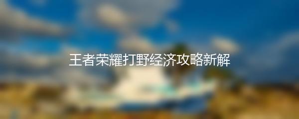 王者荣耀打野经济攻略新解
