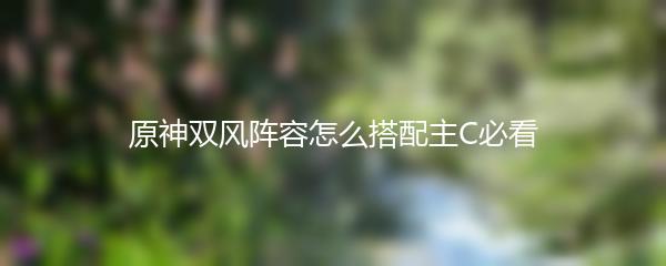 原神双风阵容怎么搭配主C必看