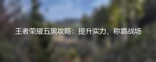 王者荣耀五黑攻略：提升实力，称霸战场