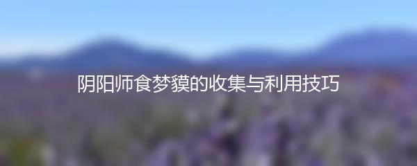 阴阳师食梦貘的收集与利用技巧
