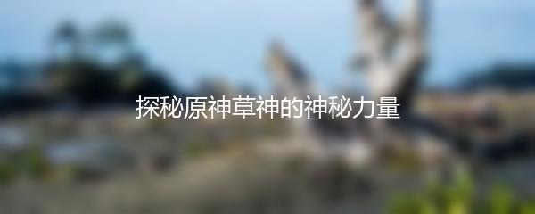 探秘原神草神的神秘力量