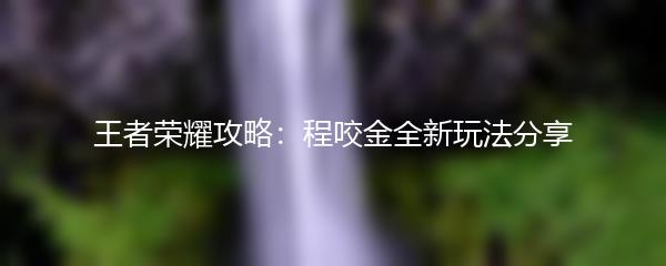 王者荣耀攻略：程咬金全新玩法分享