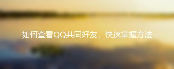 如何查看QQ共同好友，快速掌握方法