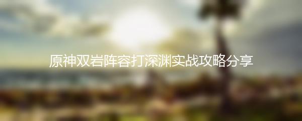原神双岩阵容打深渊实战攻略分享
