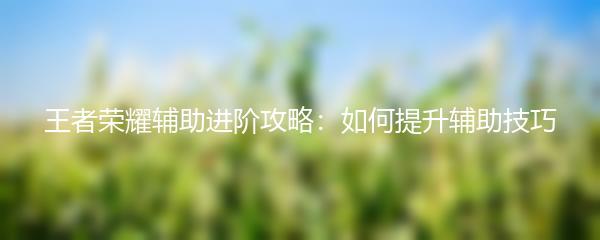 王者荣耀辅助进阶攻略：如何提升辅助技巧