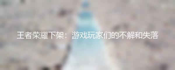 王者荣耀下架：游戏玩家们的不解和失落