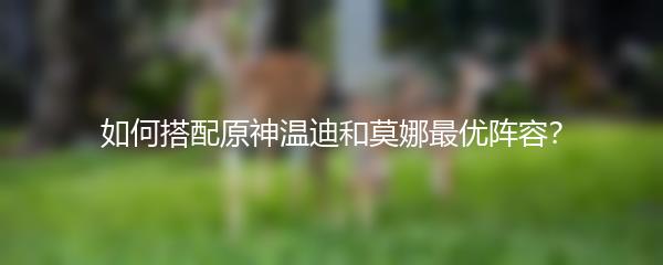 如何搭配原神温迪和莫娜最优阵容？