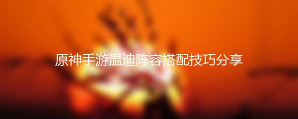 原神手游温迪阵容搭配技巧分享