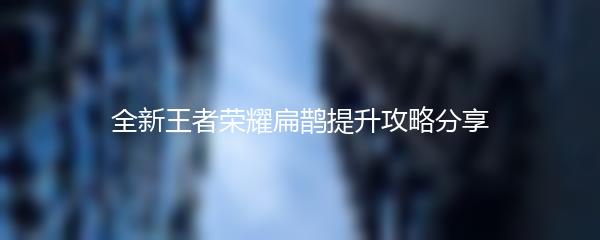 全新王者荣耀扁鹊提升攻略分享