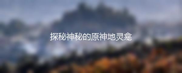 探秘神秘的原神地灵龛