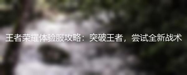 王者荣耀体验服攻略：突破王者，尝试全新战术