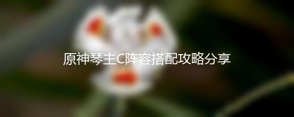 原神琴主C阵容搭配攻略分享