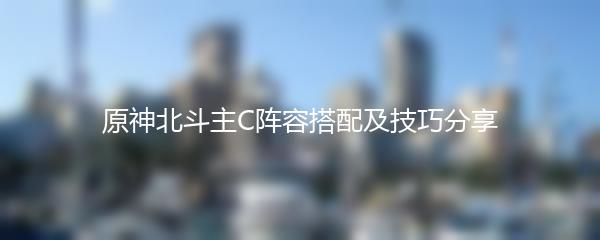 原神北斗主C阵容搭配及技巧分享