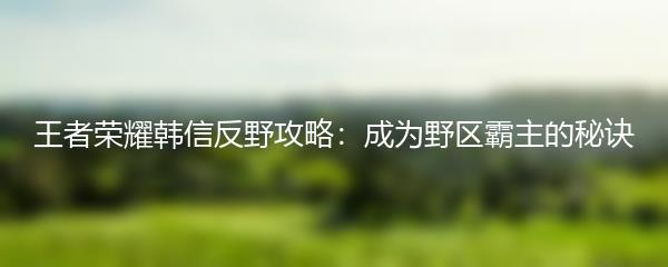 王者荣耀韩信反野攻略：成为野区霸主的秘诀